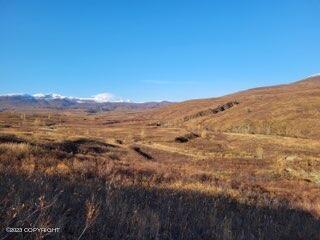 9170 S Cache Creek Drive, Trapper Creek, Alaska image 27