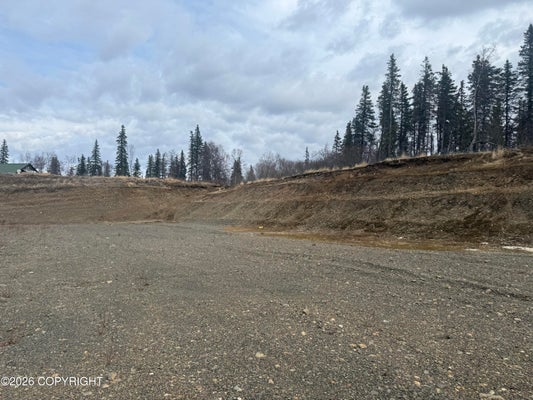 18 RD, DILLINGHAM, AK 99576 - Image bf4d2061ee5e2f8d41f75a6584cef9ce/1836113783