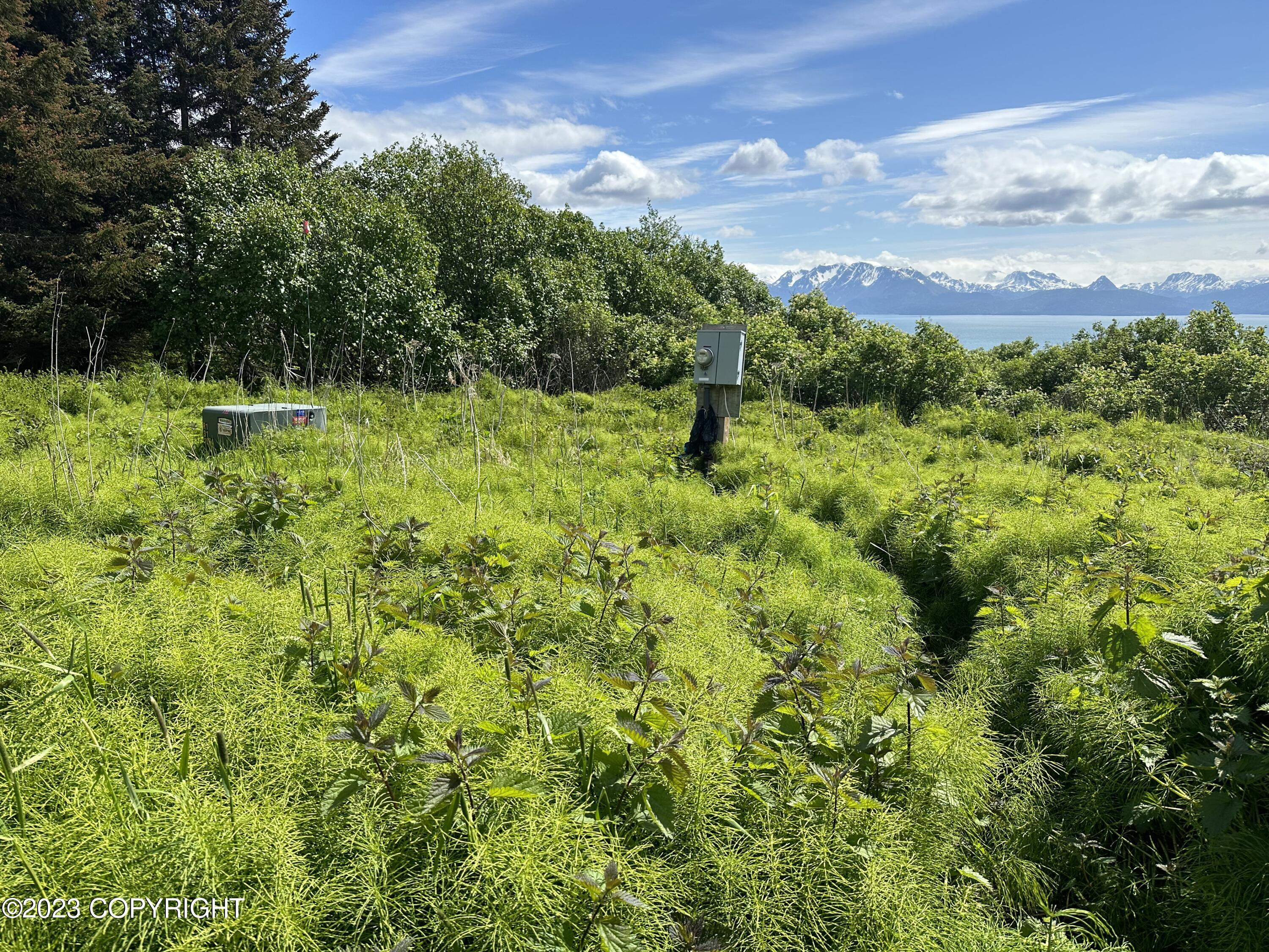 57901 Glacier View Road, Homer, Alaska image 28