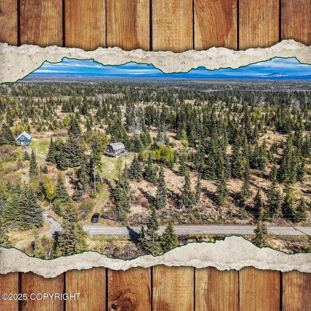 21572 Twilight Street, Ninilchik, Alaska image 1