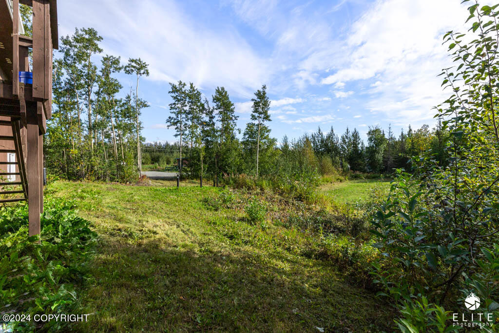 Palmer, Alaska 99645, United States, 4 Bedrooms Bedrooms, ,3 BathroomsBathrooms,Residential,Pending,45361