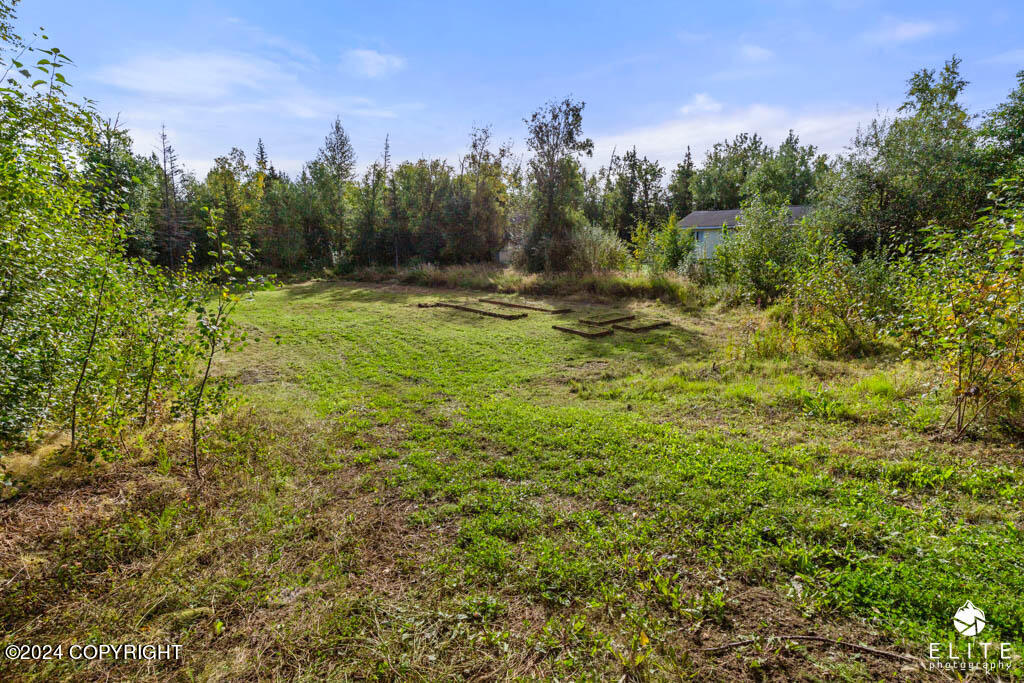 Palmer, Alaska 99645, United States, 4 Bedrooms Bedrooms, ,3 BathroomsBathrooms,Residential,Pending,45361