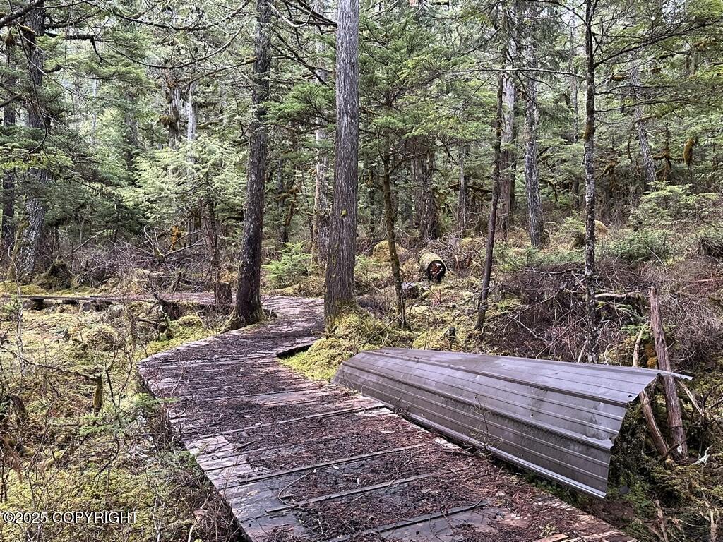 Mi 12 W Zimovia Highway, Wrangell, Idaho image 44