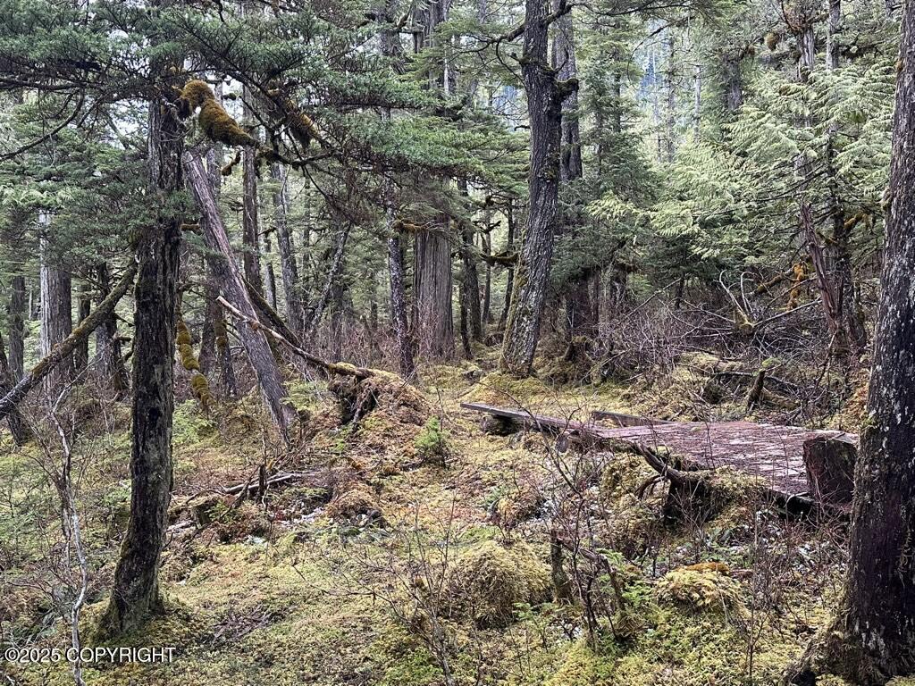 Mi 12 W Zimovia Highway, Wrangell, Idaho image 45