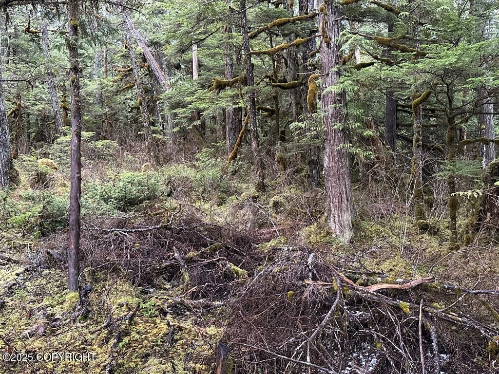 Mi 12 W Zimovia Highway, Wrangell, Idaho image 43