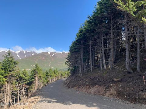 Vacant Land For Sale - L2 Paine Circle<br/> Anchorage, AK 99516