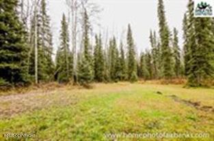 356 S Louise Lane, Fairbanks, Alaska image 4