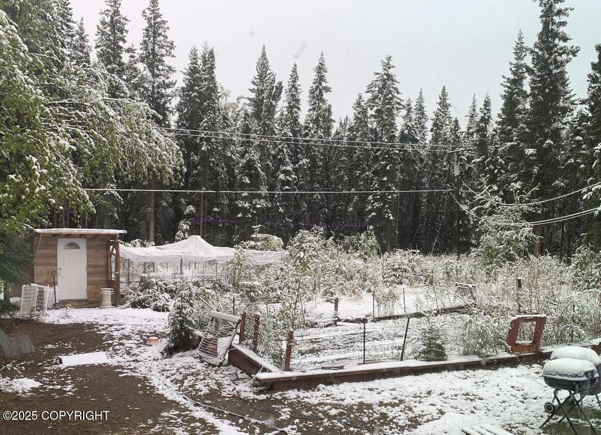 2325 Brewis Boulevard, Delta Junction, Alaska image 8