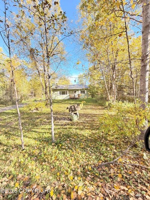 5401 E PINE ST, WASILLA, AK 99654 - Image c00dc8fff0f03b1d4325f4fedf082d7c/569306574