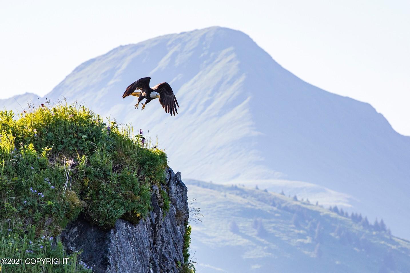 5976 Cliff Point Rd, Kodiak, Alaska image 36