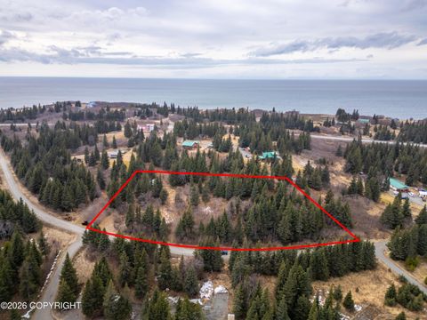 Photo of 22501 Shegota Loop, Ninilchik, AK 99639 (MLS # 26-5646)