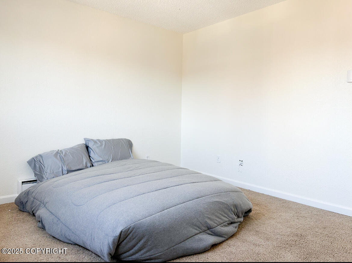 8632 Boundary Avenue #P-2, Anchorage, Alaska image 18