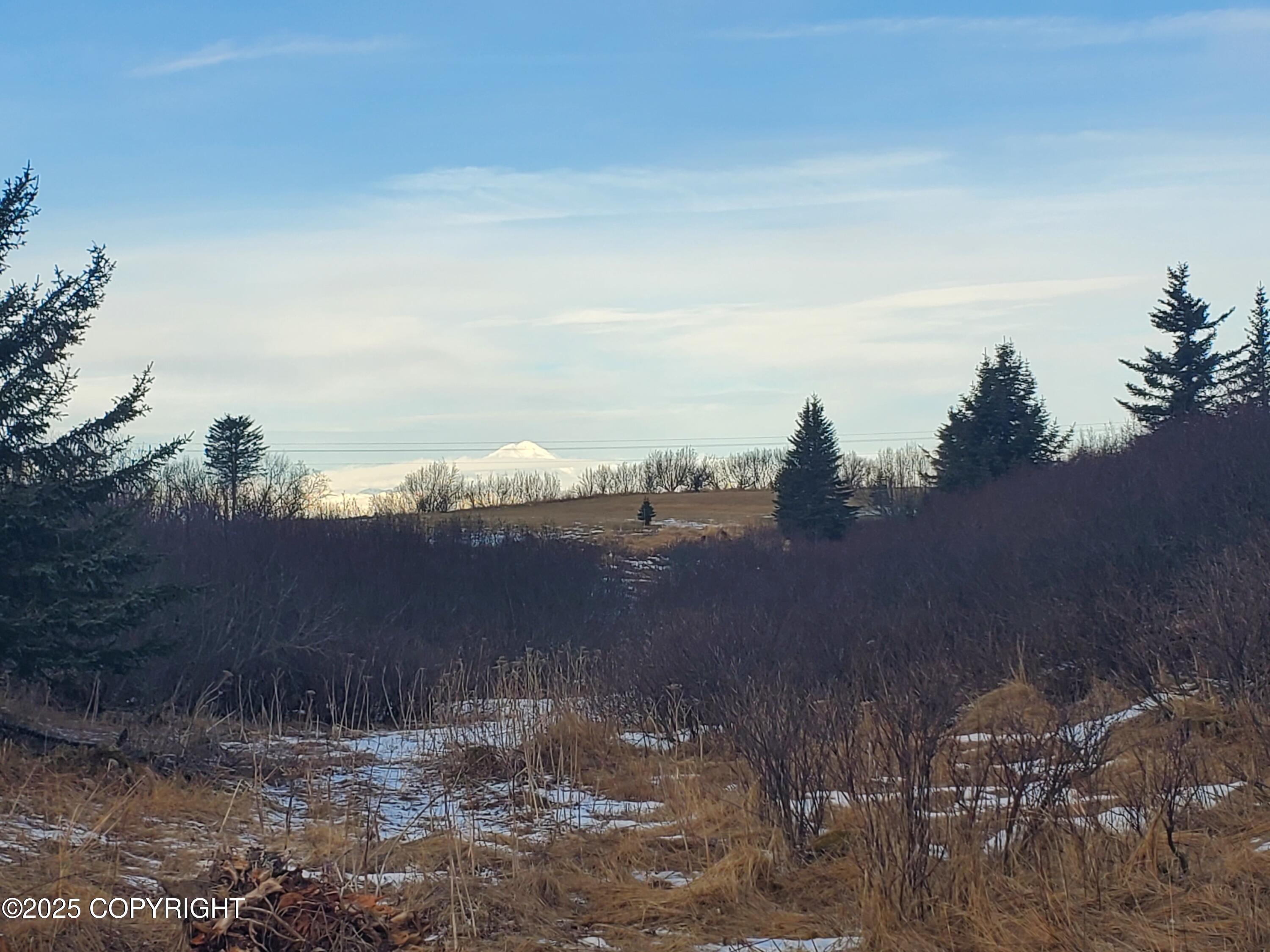 17657 N Chefornak Street, Ninilchik, Alaska image 2