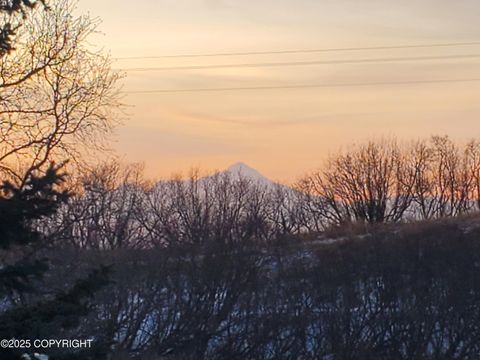 Vacant Land For Sale - 17657 Chefornak Street<br/> Ninilchik, AK 99639