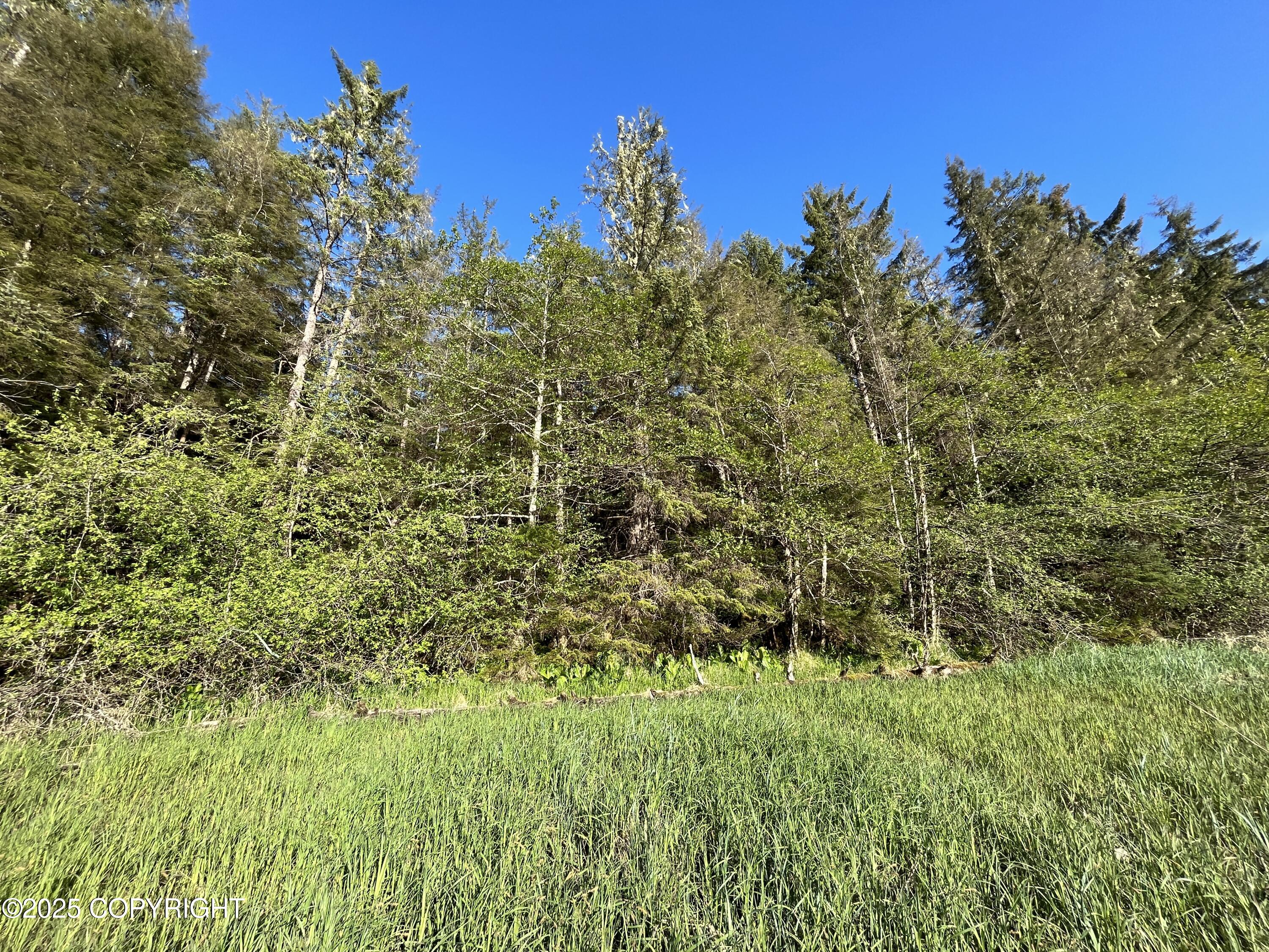 52 N Blueberry Lane St, Petersburg, Alaska image 4
