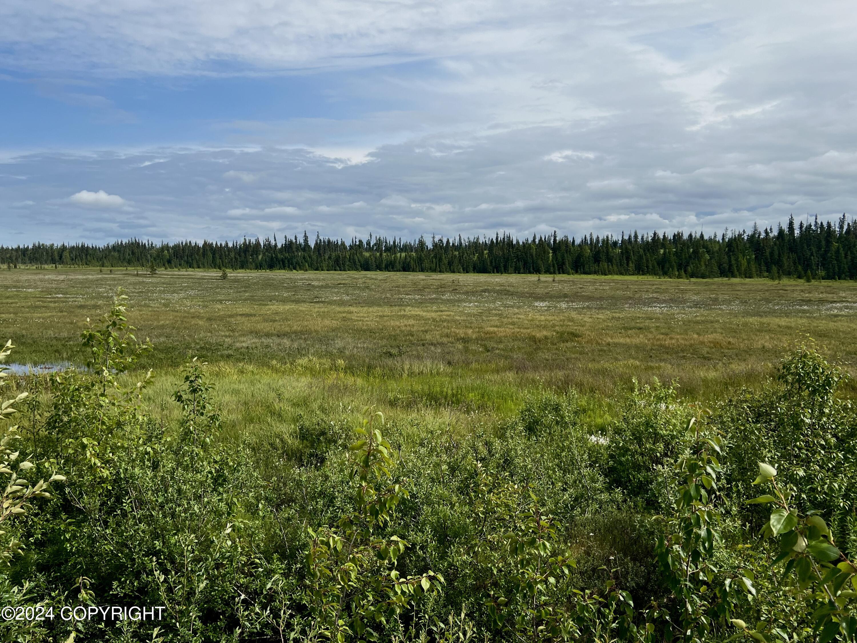 L1 Aquila Wings Road, Anchor Point, Alaska image 14
