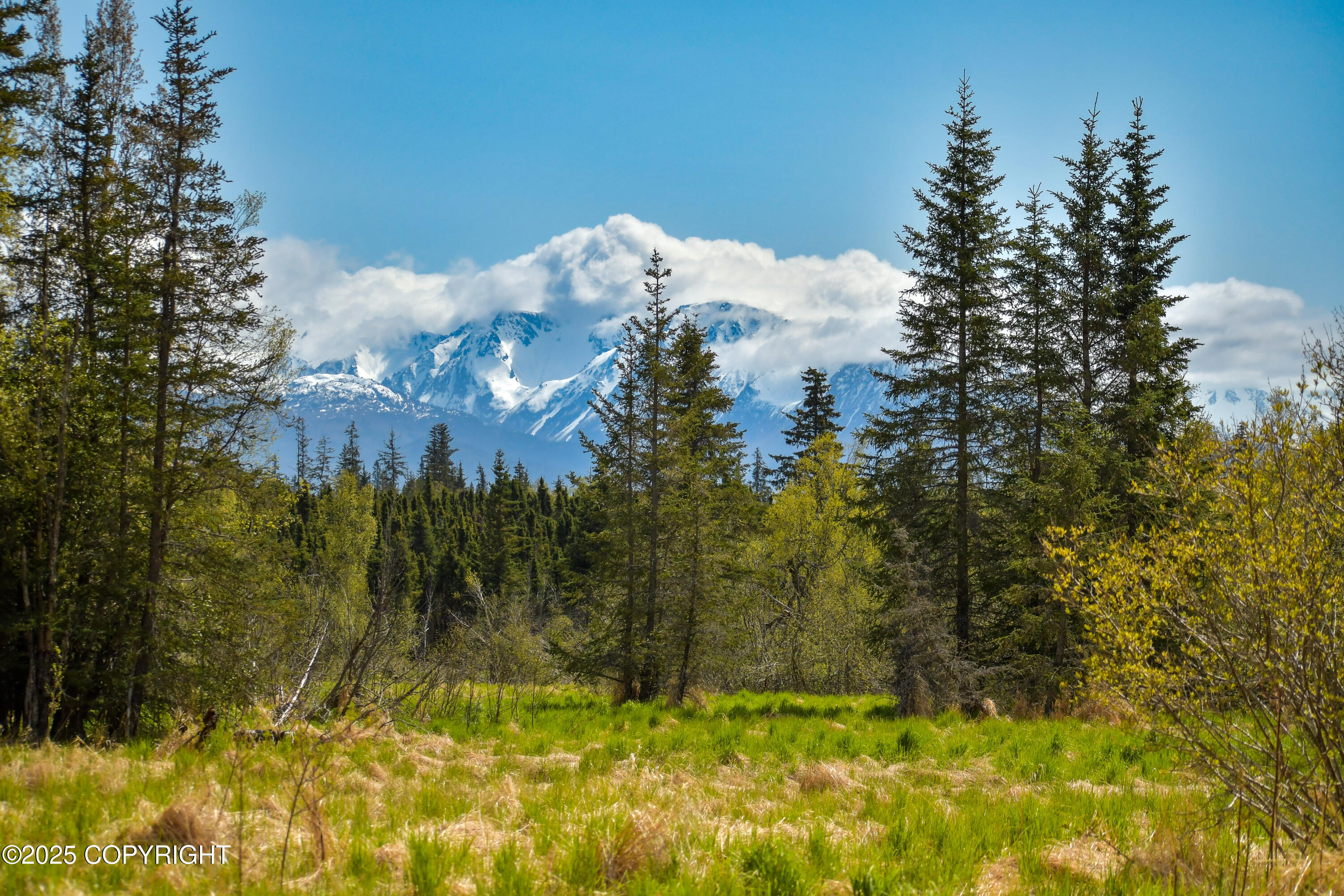 55851 Glenn Road, Homer, Alaska image 27