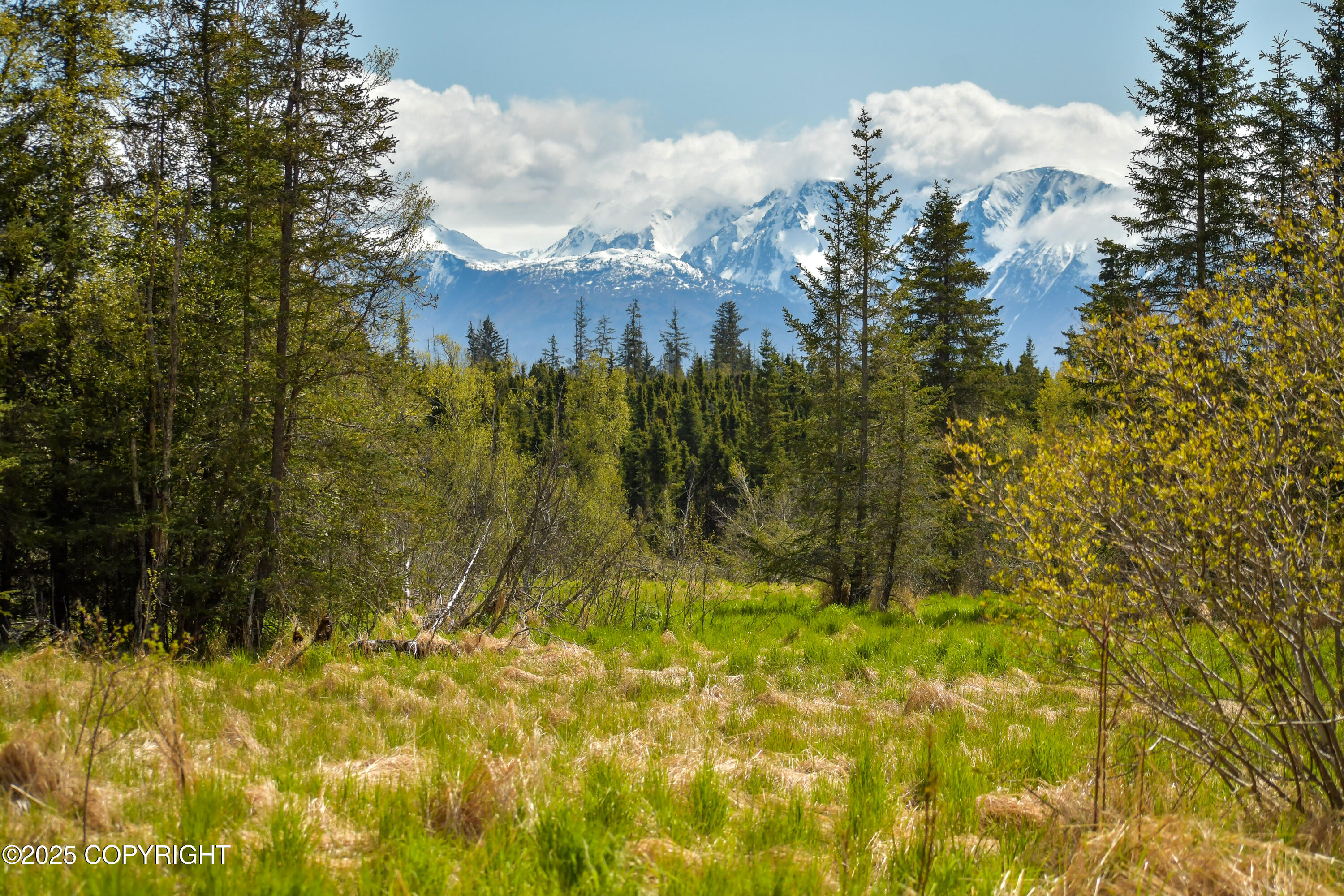 55851 Glenn Road, Homer, Alaska image 3
