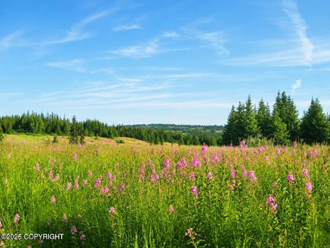 Vacant Land For Sale - 488 Cozy Cove Drive<br/> Homer, AK 99603