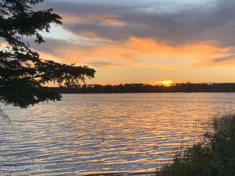 Vacant Land For Sale - 90055 N Remote Trail<br/> Talkeetna, AK 99676