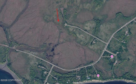 Photo of L13 Grizzly Bear Street, Naknek, AK 99633 (MLS # 26-12226)