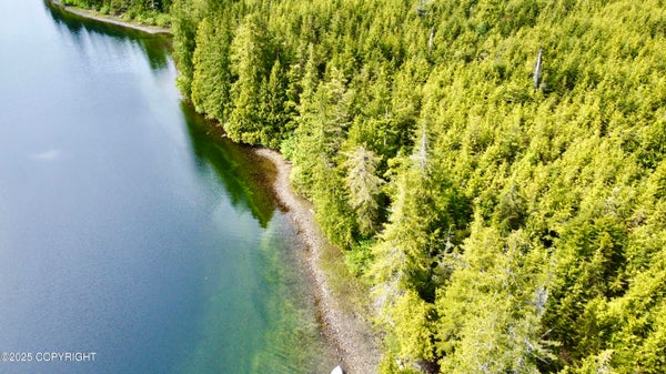 L4 WADLEIGH NORTH, KLAWOCK, AK 99925 - Image c2e45e4909c596fff13451f3dffed4d4/4268453183