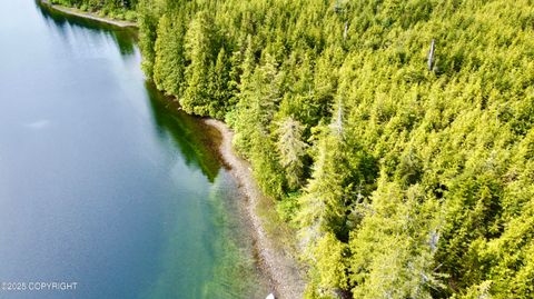 Vacant Land For Sale - L4 Wadleigh North<br/> Klawock, AK 99925