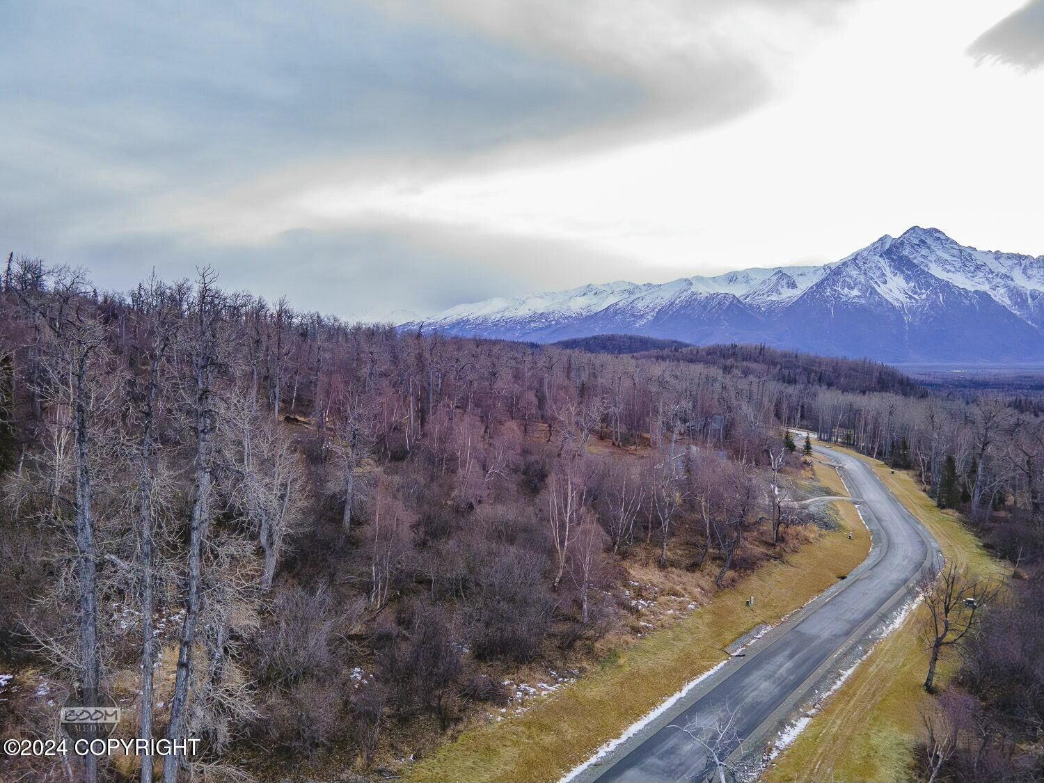 443 N Hale Circle, Palmer, Alaska image 3