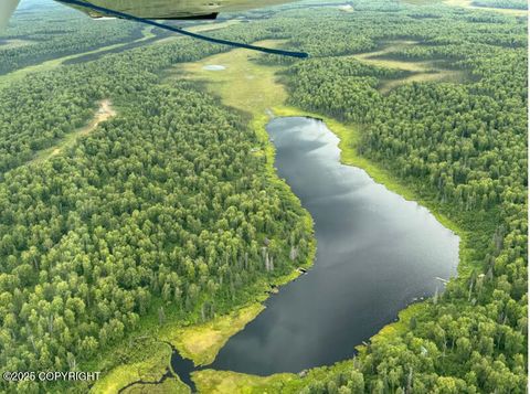 Vacant Land For Sale - TR A-B Bee Jay Lake<br/> Skwentna, AK 99688