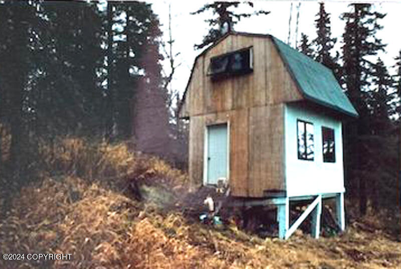 Tr A-B Bee Jay Lake Road, Skwentna, Alaska image 11