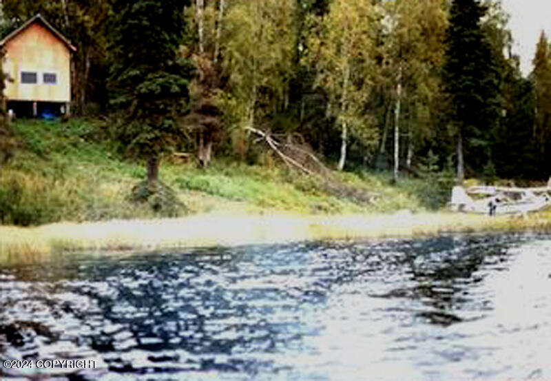 Tr A-B Bee Jay Lake Road, Skwentna, Alaska image 3