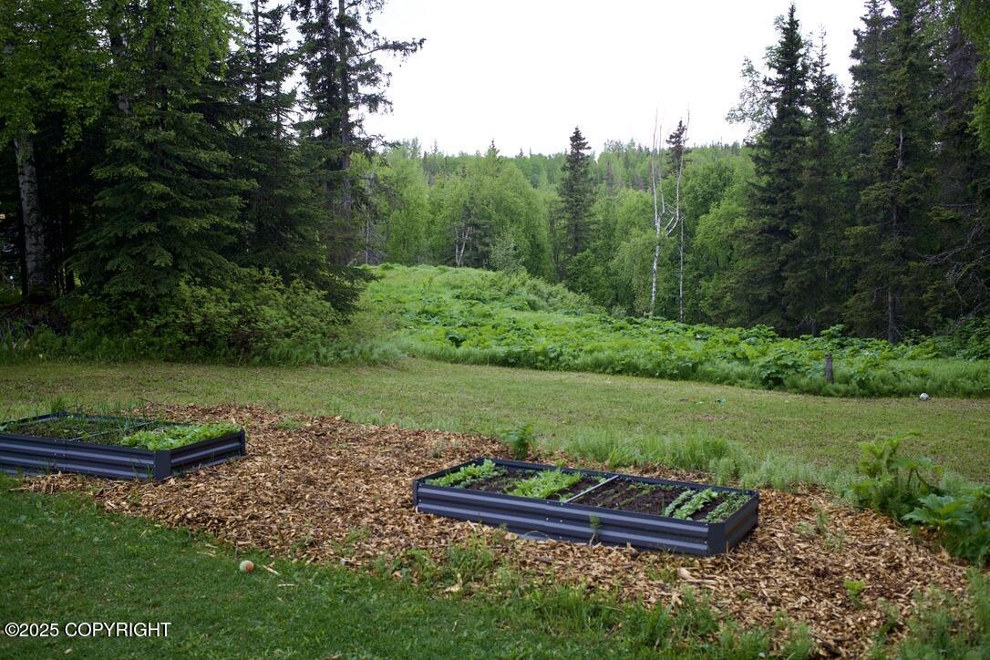10501 Birch Road, Anchorage, Alaska image 25