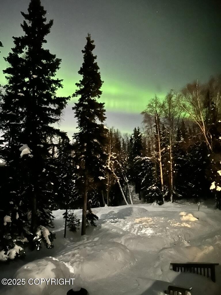 10501 Birch Road, Anchorage, Alaska image 5