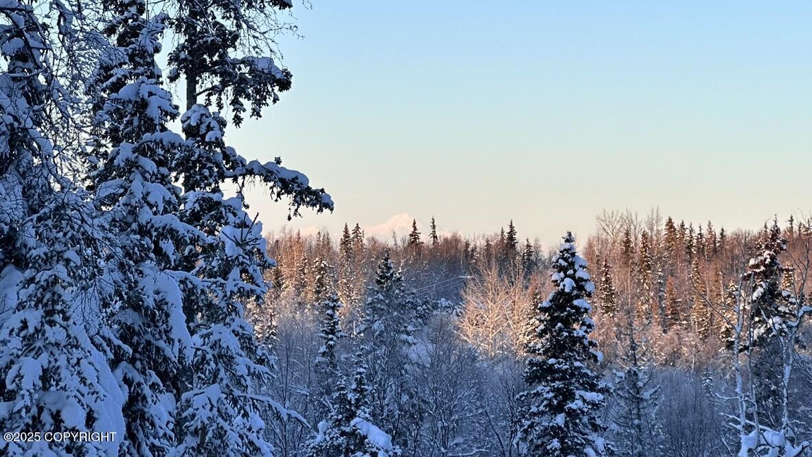 10501 Birch Road, Anchorage, Alaska image 30