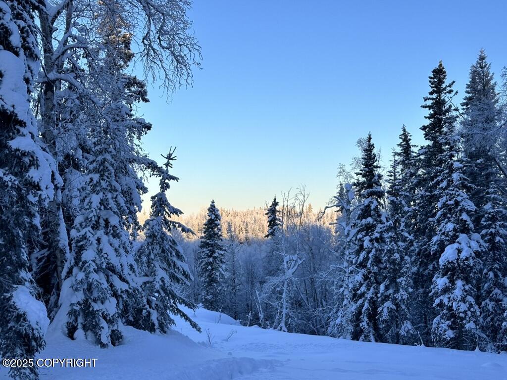 10501 Birch Road, Anchorage, Alaska image 31