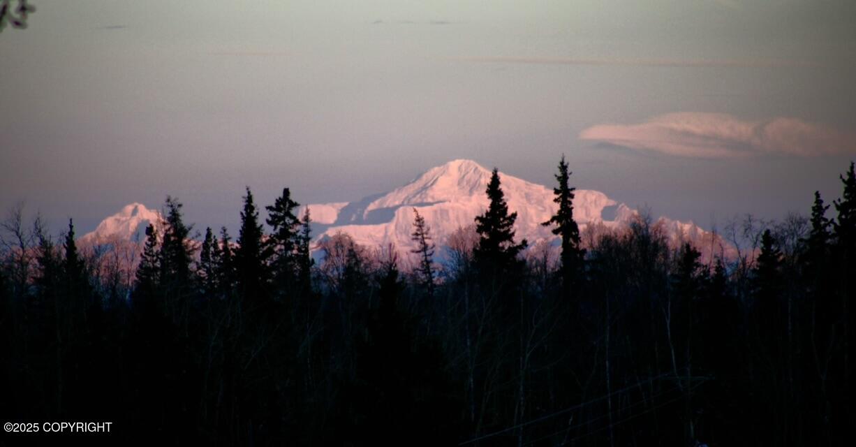 10501 Birch Road, Anchorage, Alaska image 6