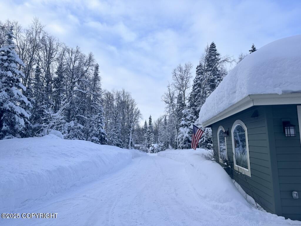 10501 Birch Road, Anchorage, Alaska image 32
