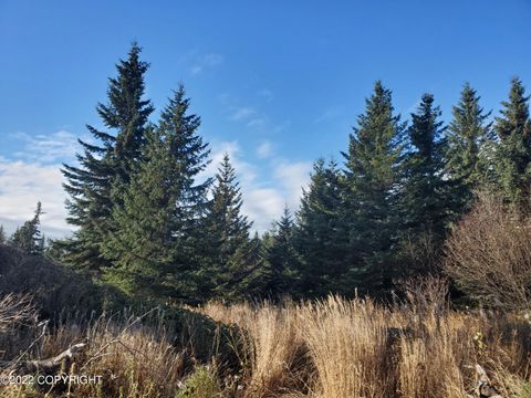 Vacant Land For Sale - 17309 Kimeluk Street<br/> Ninilchik, AK 99639