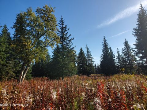 Vacant Land For Sale - 67756 Shavila Road<br/> Ninilchik, AK 99639