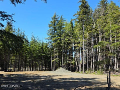 Photo of Lot 43 Martin Avenue, Haines, AK 99827 (MLS # 26-12190)