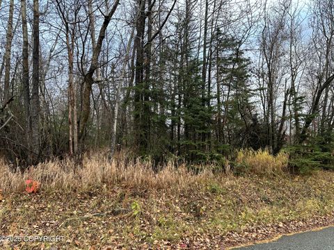 3331 N tampa Court Wasilla AK 99654