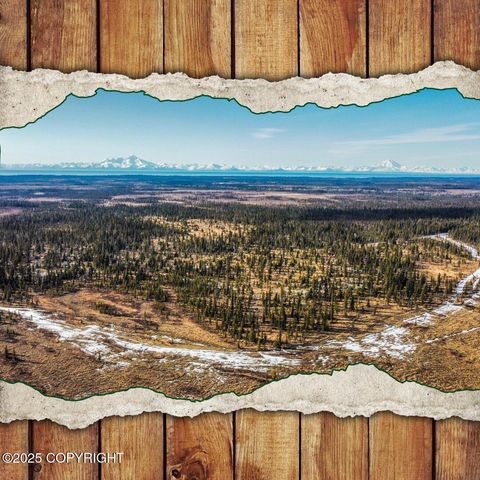 Vacant Land For Sale - 33670 Handcart Road<br/> Anchor Point, AK 99556