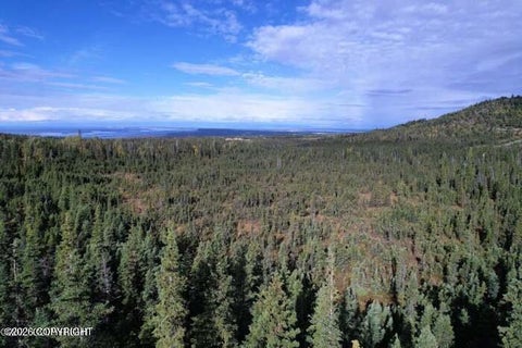 Photo of 15852 Carl Street, Anchorage, AK 99516 (MLS # 26-12945)