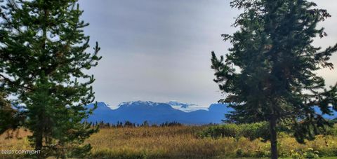 Vacant Land For Sale - 00 Basargin Road<br/> Homer, AK 99603
