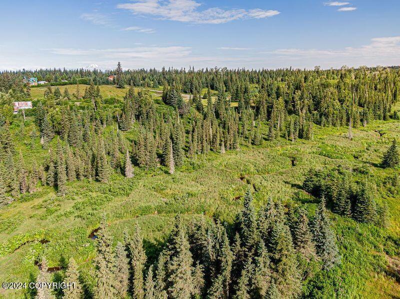 22050 Creek View Road, Ninilchik, Alaska image 33
