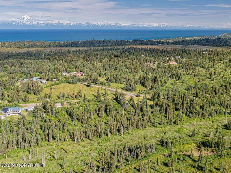 22050 Creek View Road, Ninilchik, Alaska image 28