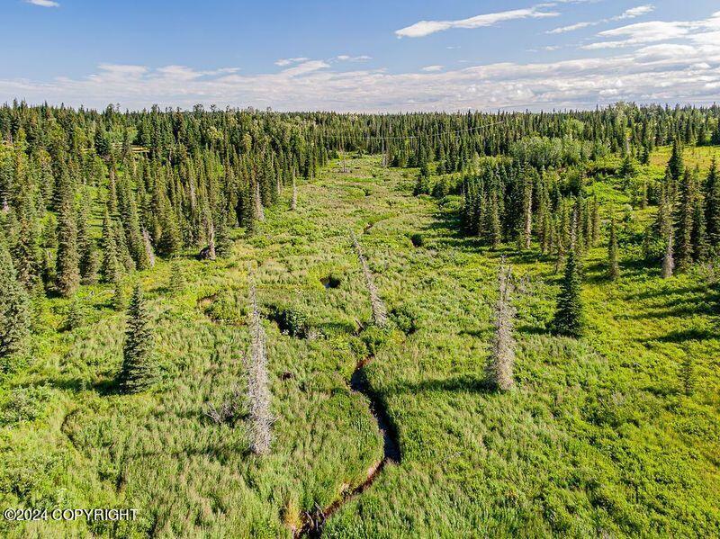 22050 Creek View Road, Ninilchik, Alaska image 31