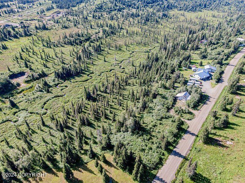 22050 Creek View Road, Ninilchik, Alaska image 24