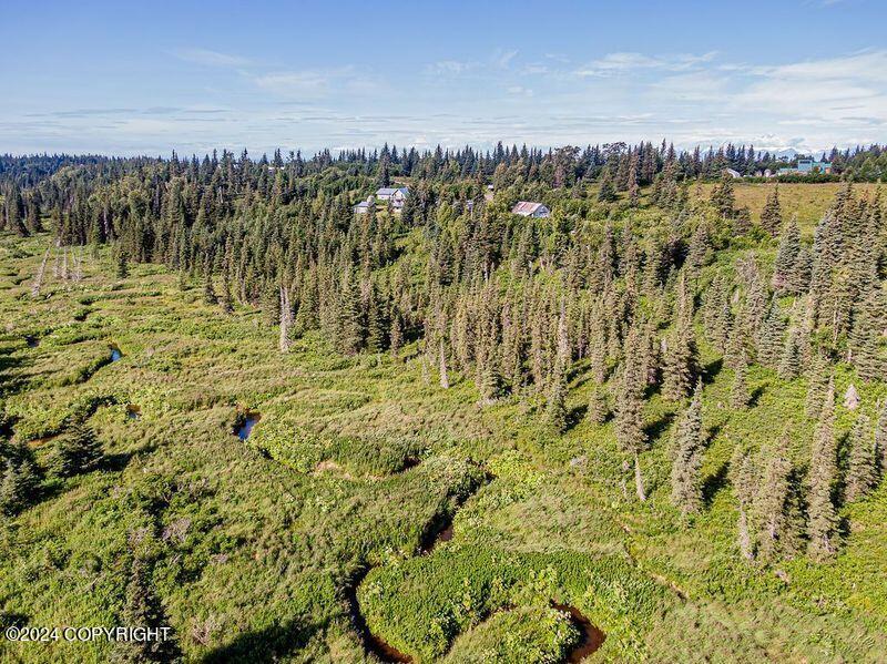 22050 Creek View Road, Ninilchik, Alaska image 32