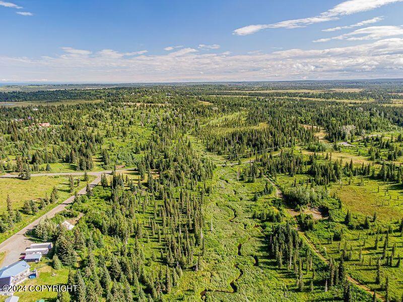 22050 Creek View Road, Ninilchik, Alaska image 29